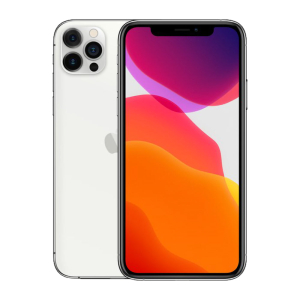 iPhone 12 Pro Max 256 Go - Argent - Débloqué PARFAIT ETAT