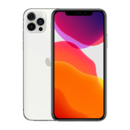iPhone 12 Pro Max 256 Go - Argent - Débloqué PARFAIT ETAT